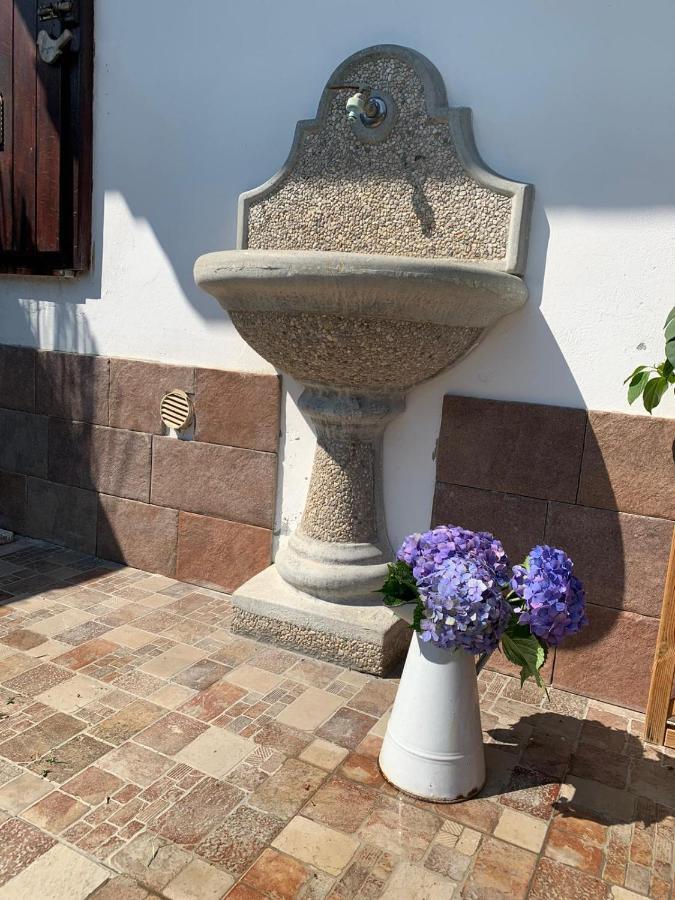 Maison Diletta Castelletto sopra Ticino Exterior foto